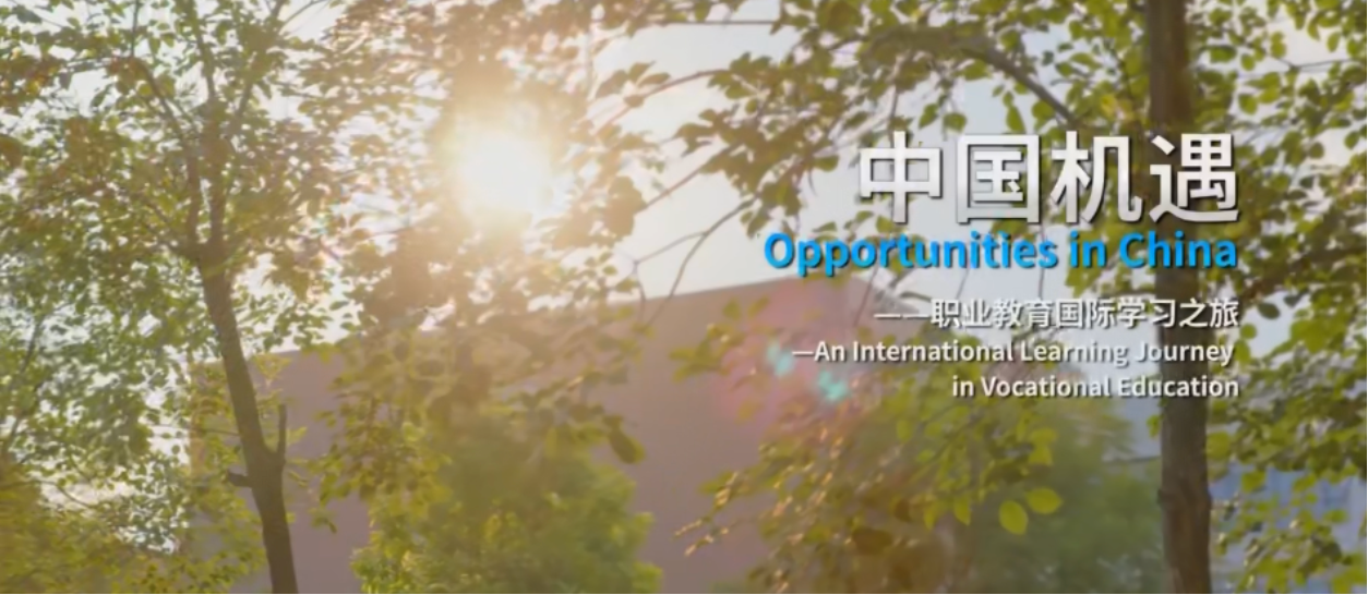 365���й�˾(Ӣ��)����-�ٷ���վ