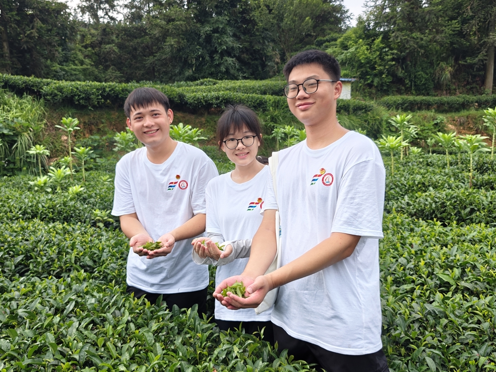 ʵ���ų�Ա������ɲ�����