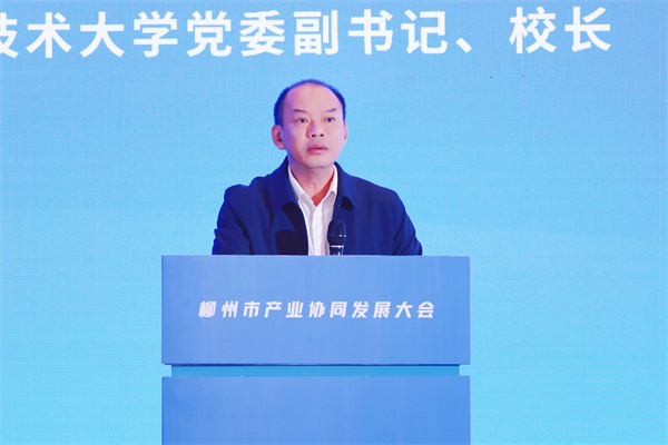 �ʽ����������й�ҵЭͬ��չ���������ּ����