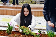 ������Ժ����ֲ��������ʵ���