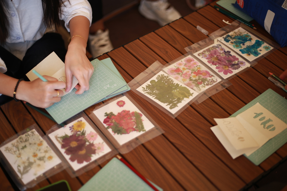 ͬ���������ֹ��ɻ�����Ƭ