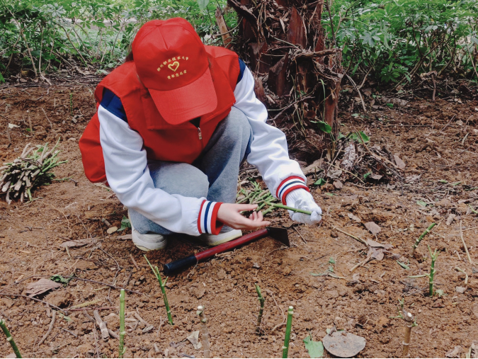 20312e7faa174945a11cf7982c566852