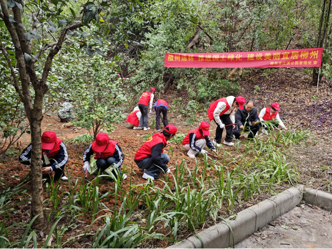 55c55301c39a4a5584847d93729f2c2f