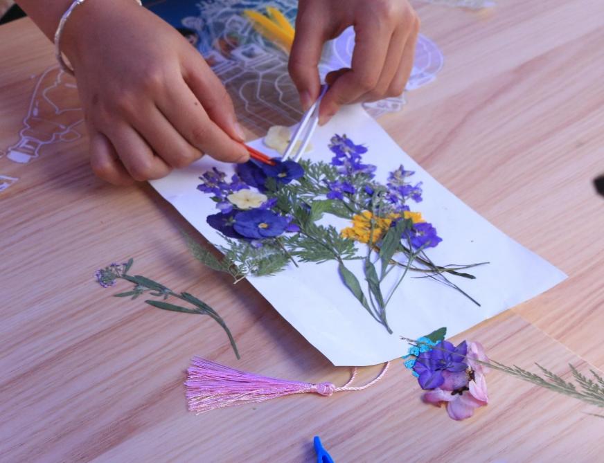 ab35e978b2014424946652c04b117655