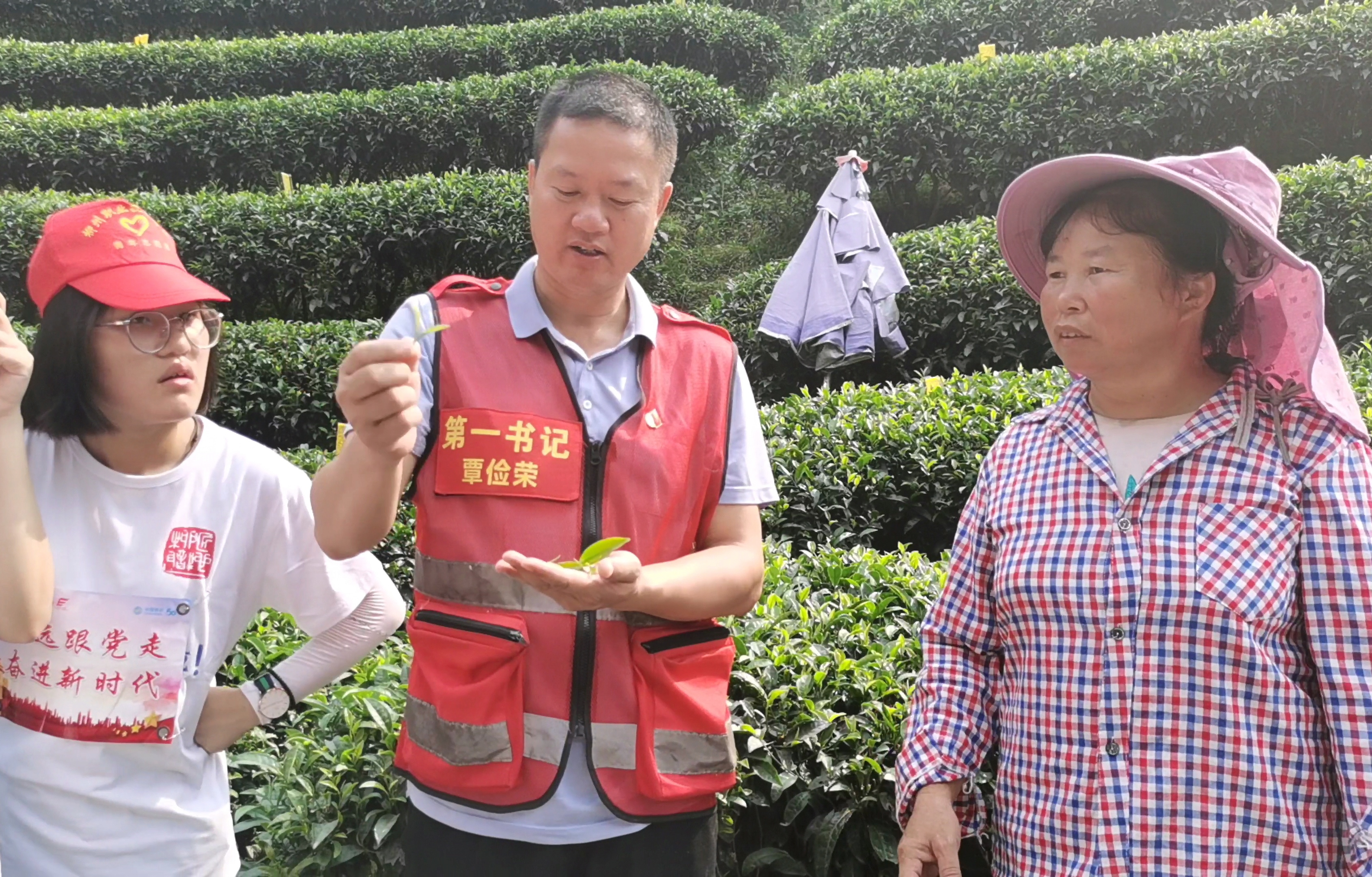 202107221744009070.jpg 202107221744009070.jpg