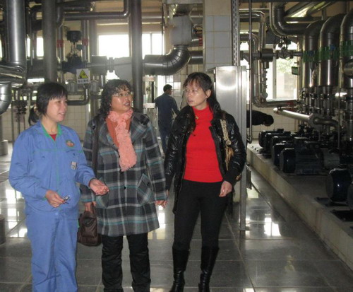 20100114103129498 20100114103129498