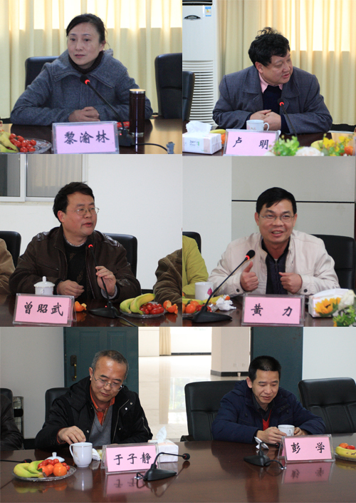 20100118183117971 20100118183117971