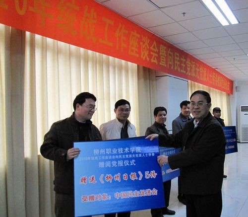 20100119154959483 20100119154959483