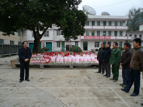 20100125100810278 20100125100810278