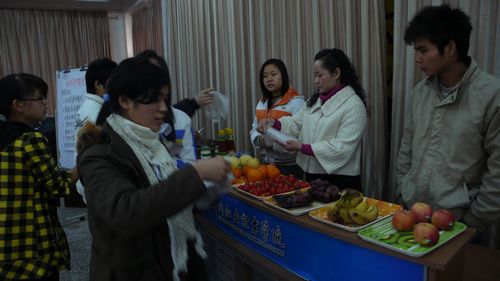 20100127181108608 20100127181108608