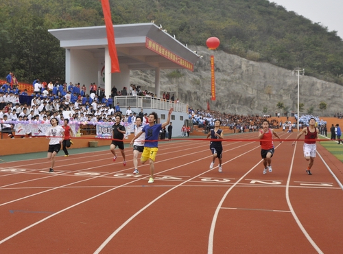 20101117185126978 20101117185126978