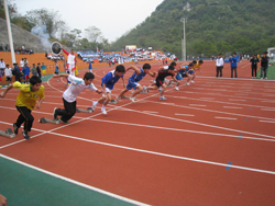 20101201223331834 20101201223331834