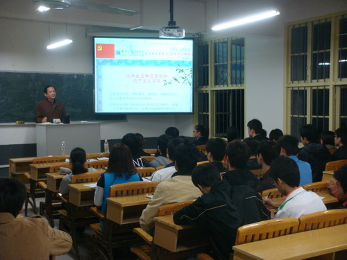 20101207111327990 20101207111327990