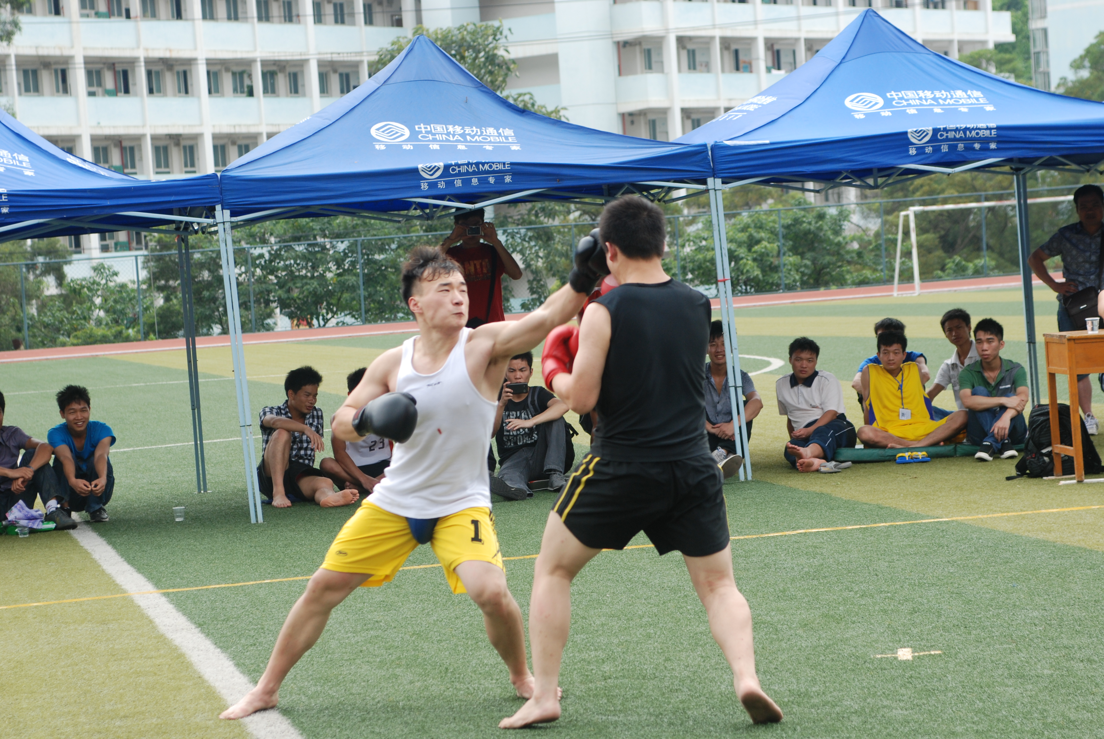 20130531113920444 20130531113920444