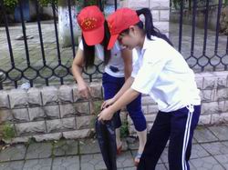 20130628110136901 20130628110136901