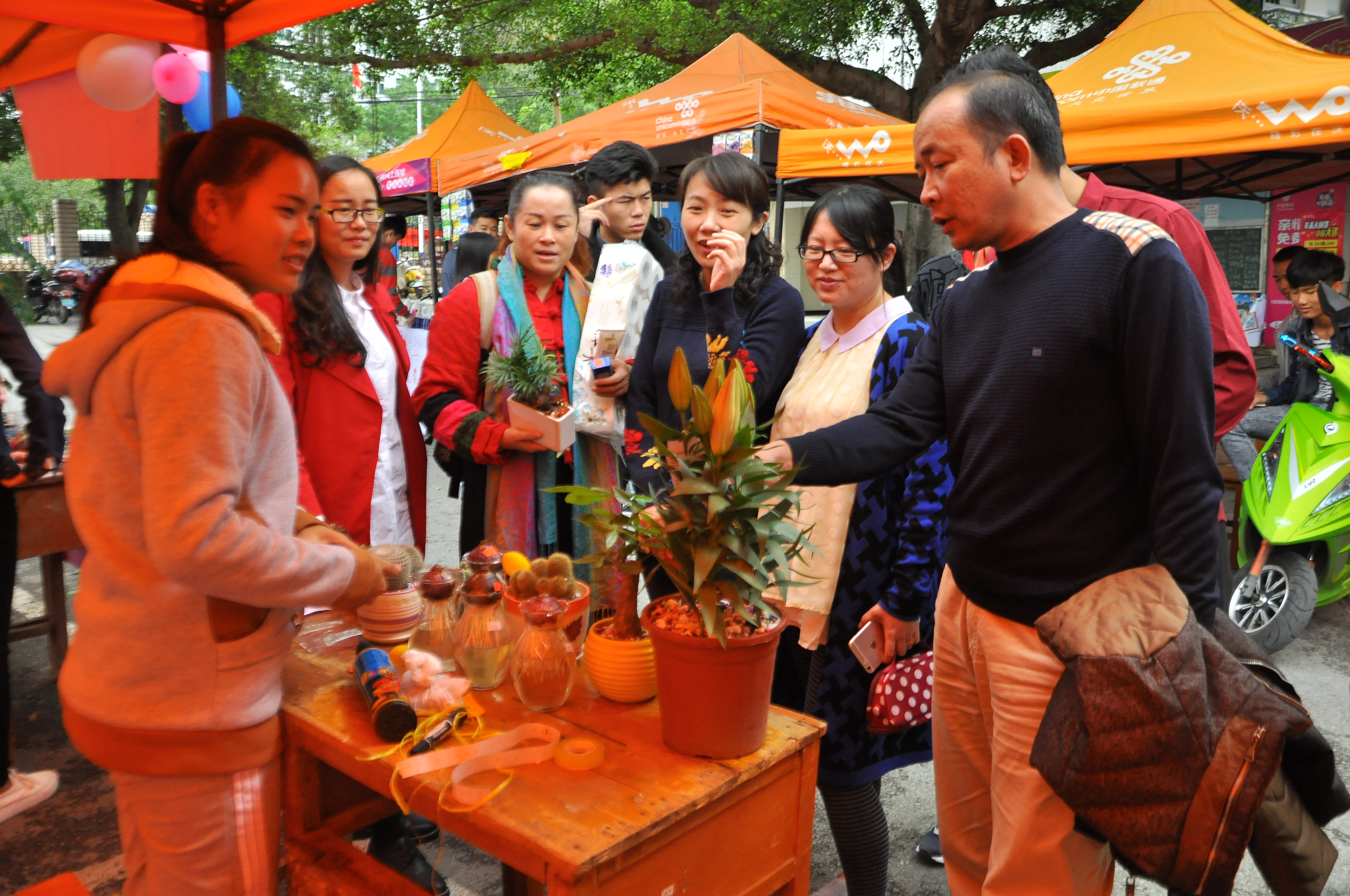 20151116085234619 20151116085234619