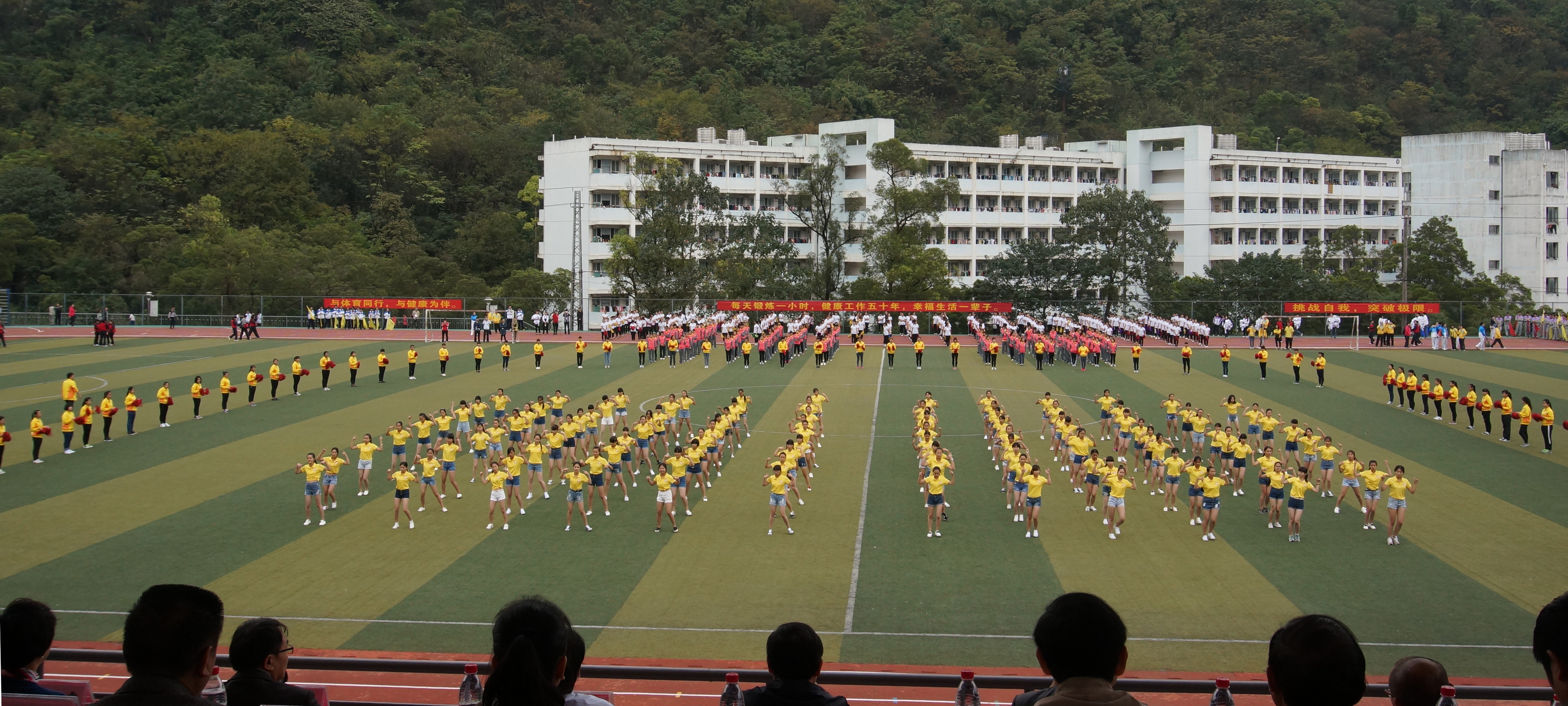 20151118135357287 20151118135357287