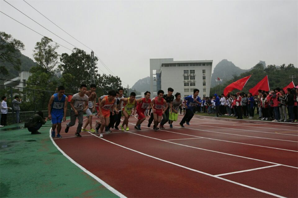 20151121212927224 20151121212927224