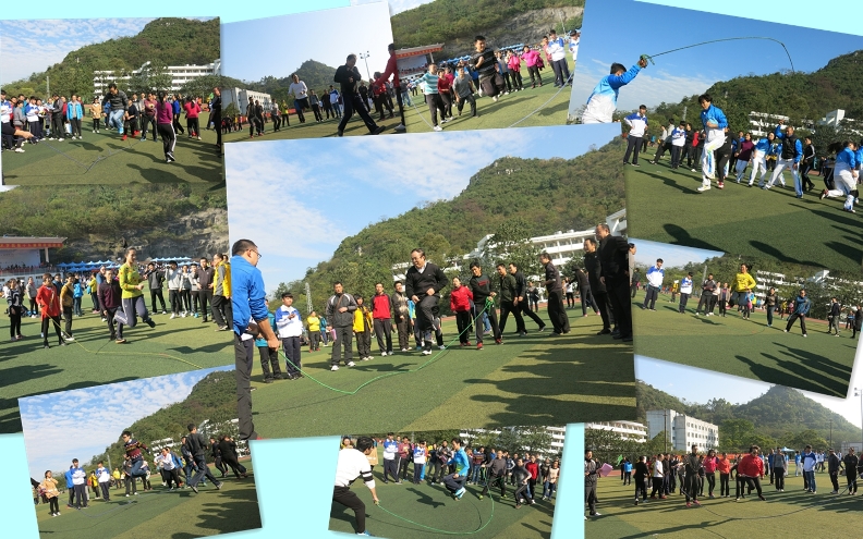 ʮ��������������