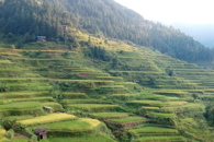 ����׼��ƶ��365���й�˾���׻�����ɽȪˮ�����������������365���й�˾��ϯ��־���ְƶ�����һ��Ǵ�����չ��ɫ��ƶ��ҵ