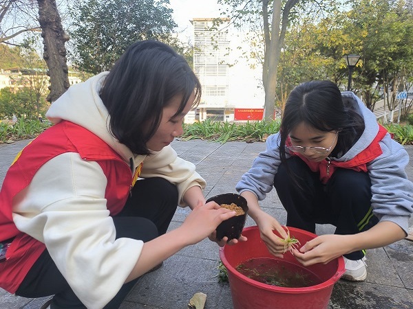 ʯ����������