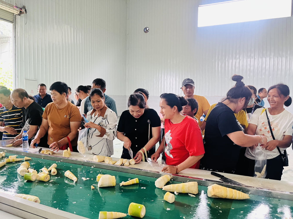 ����ӹ�ʵ������