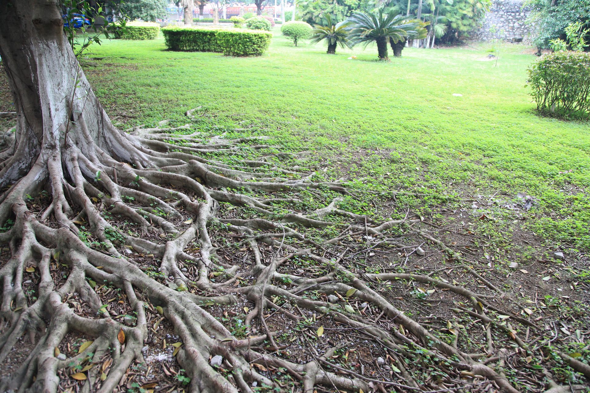 102a7558c42b4519b23cdf1f9c3401b2