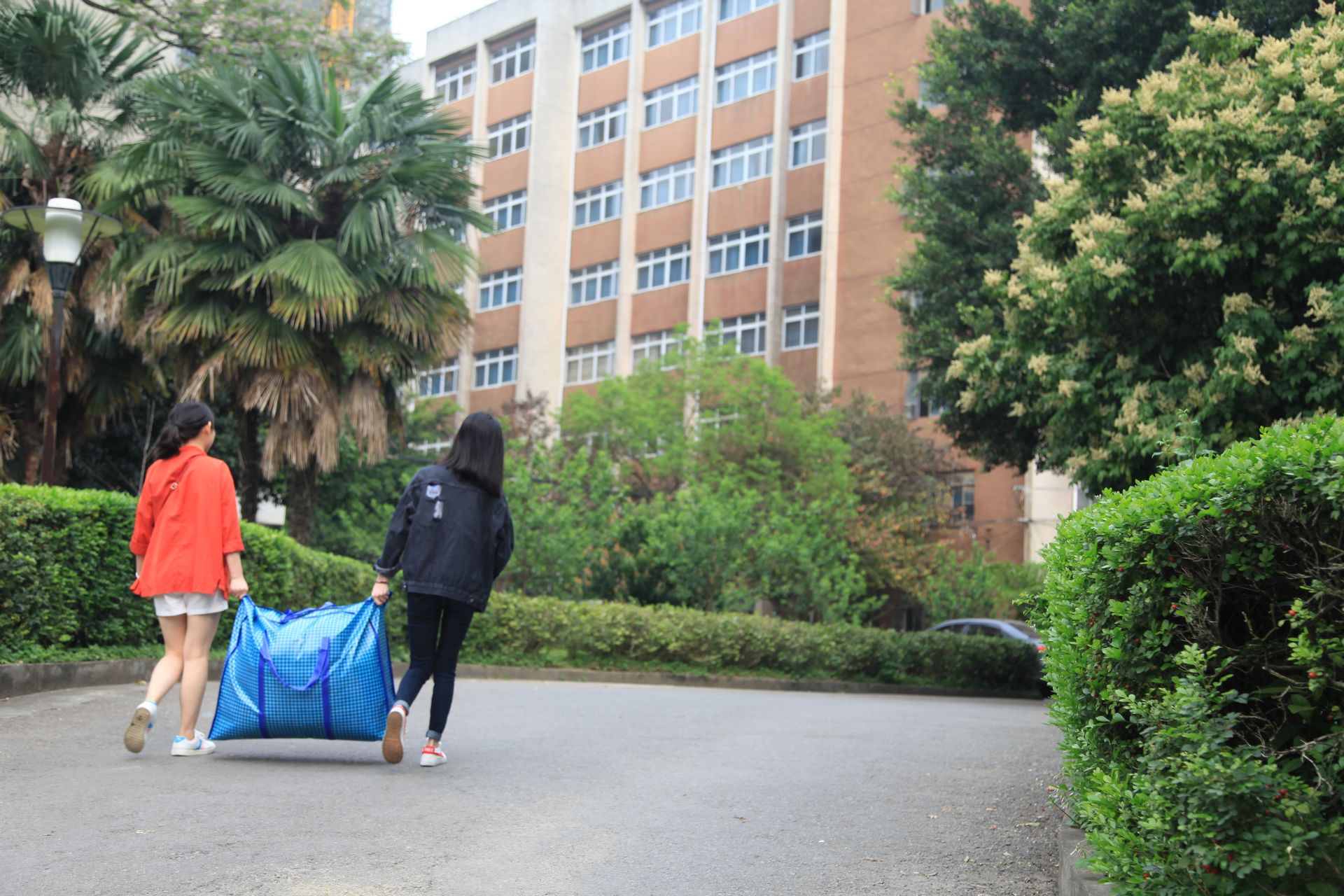 49fb68610acc413cbfc0a5a40eb6badf