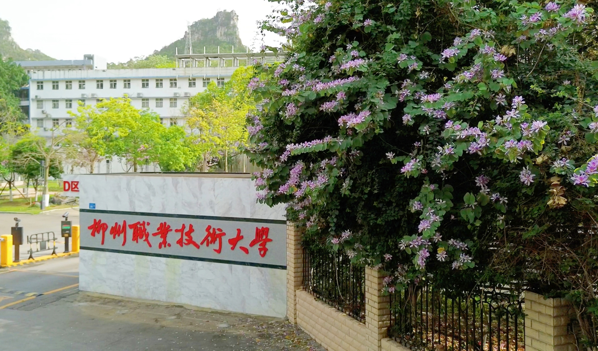 ����365���й�˾��