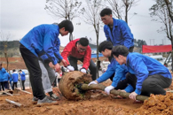 ������365���й�˾��365���й�˾80����ʦ����ֲ������