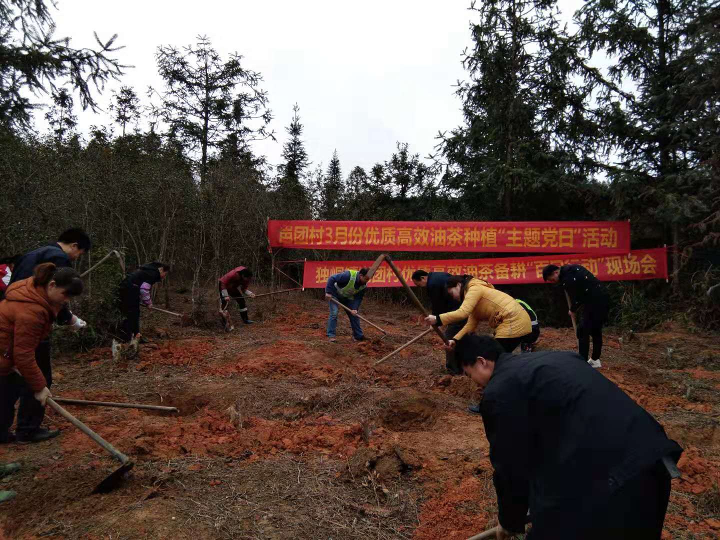 201905131735058967.jpg 201905131735058967.jpg