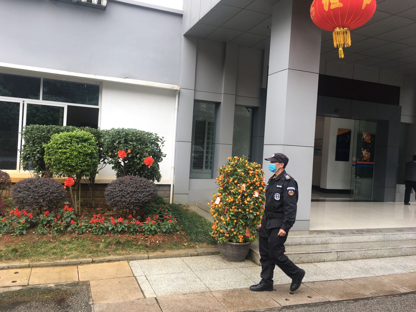 202002141712262968.jpeg 202002141712262968.jpeg