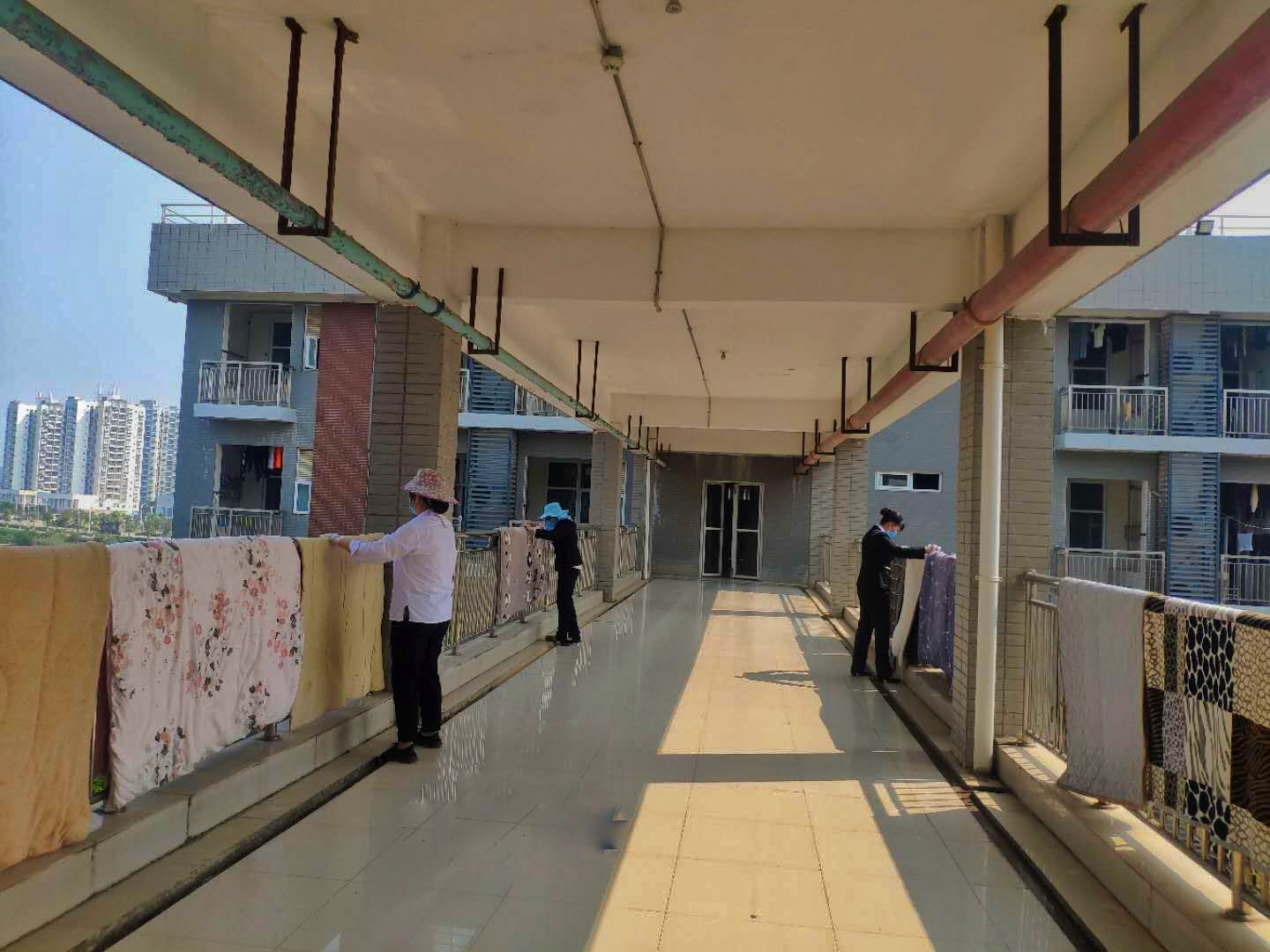 202004291730359661.jpg 202004291730359661.jpg