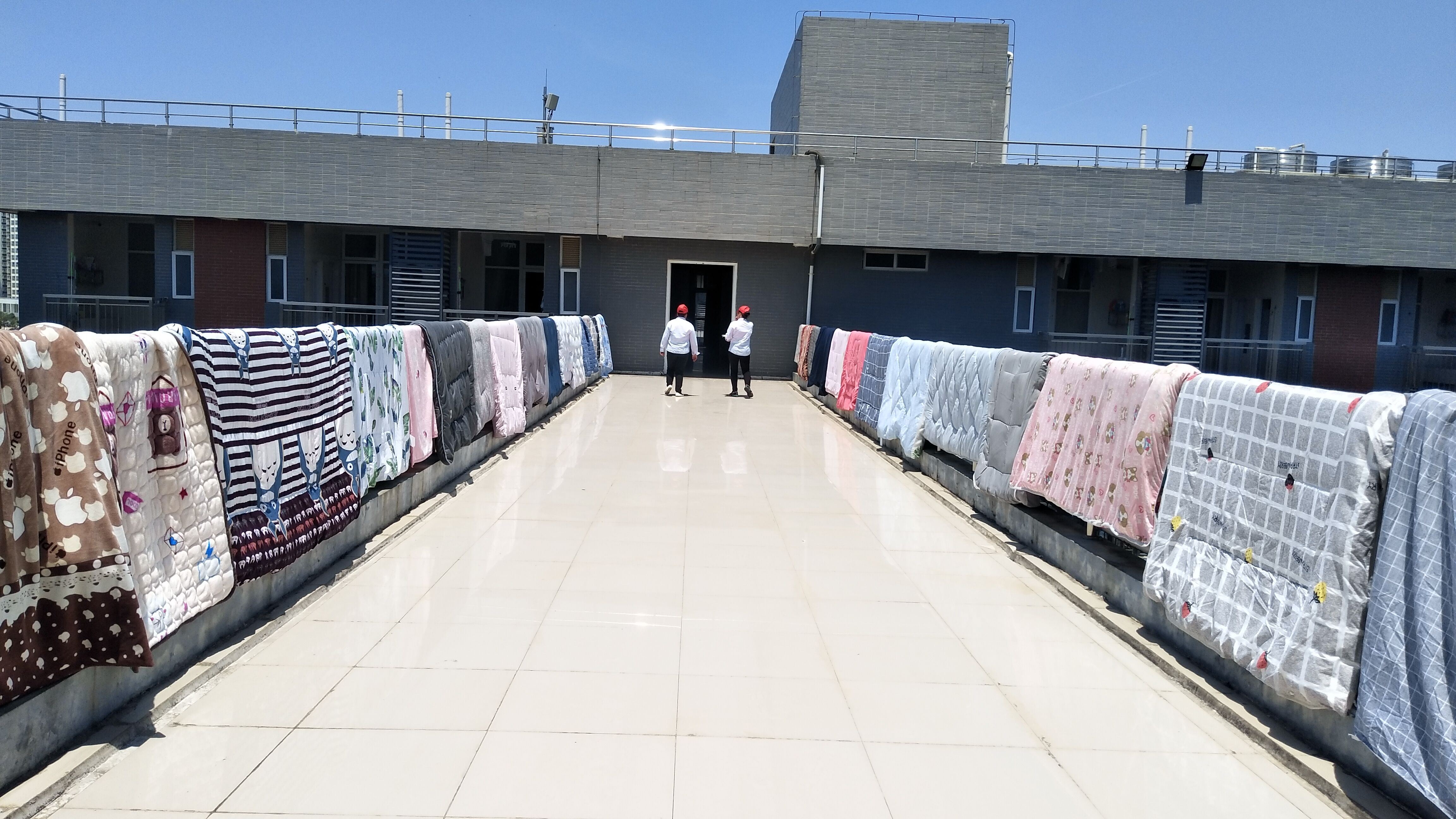 202004301640553422.jpg 202004301640553422.jpg