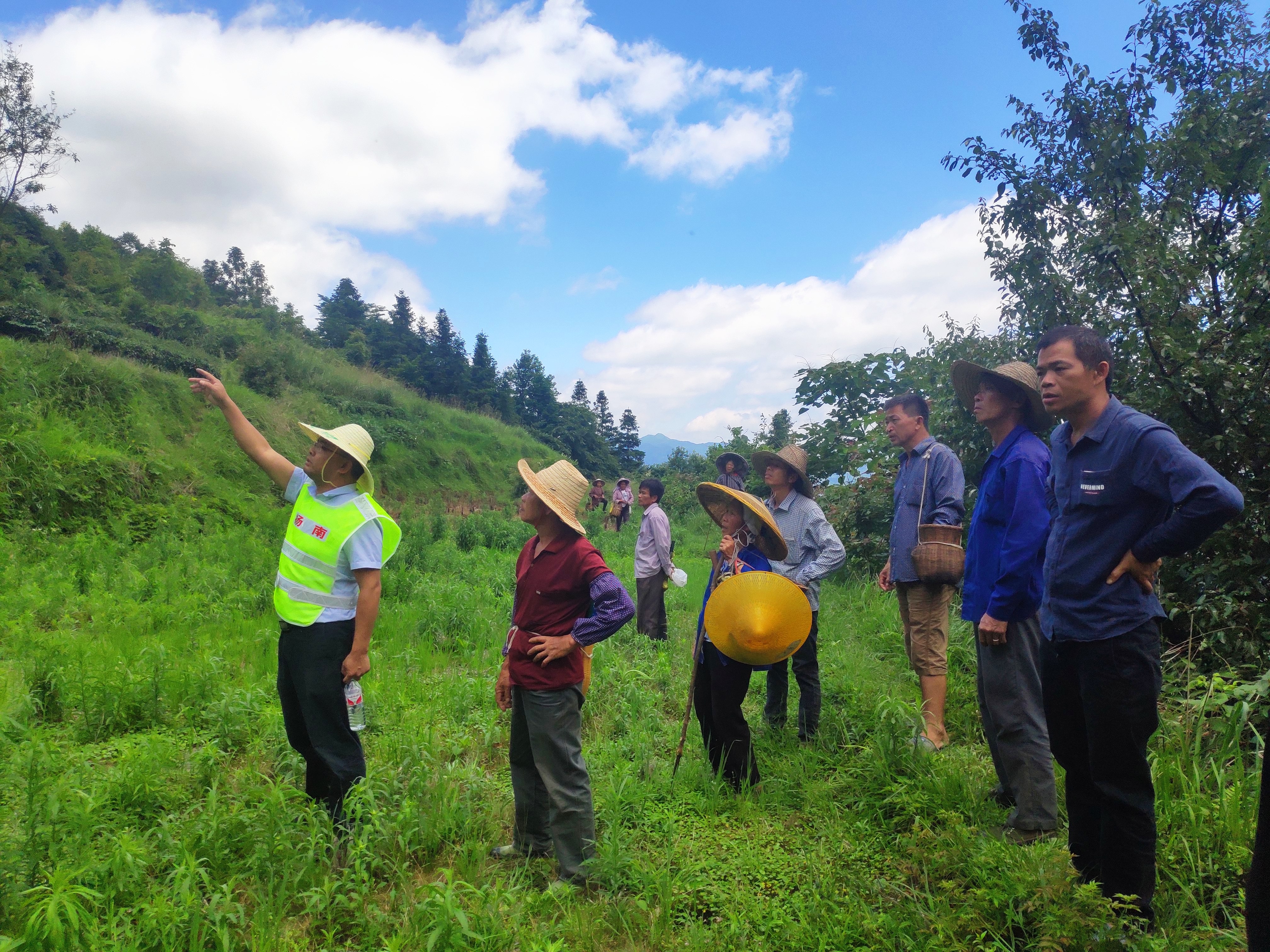 202006302212186555.JPG 202006302212186555.JPG