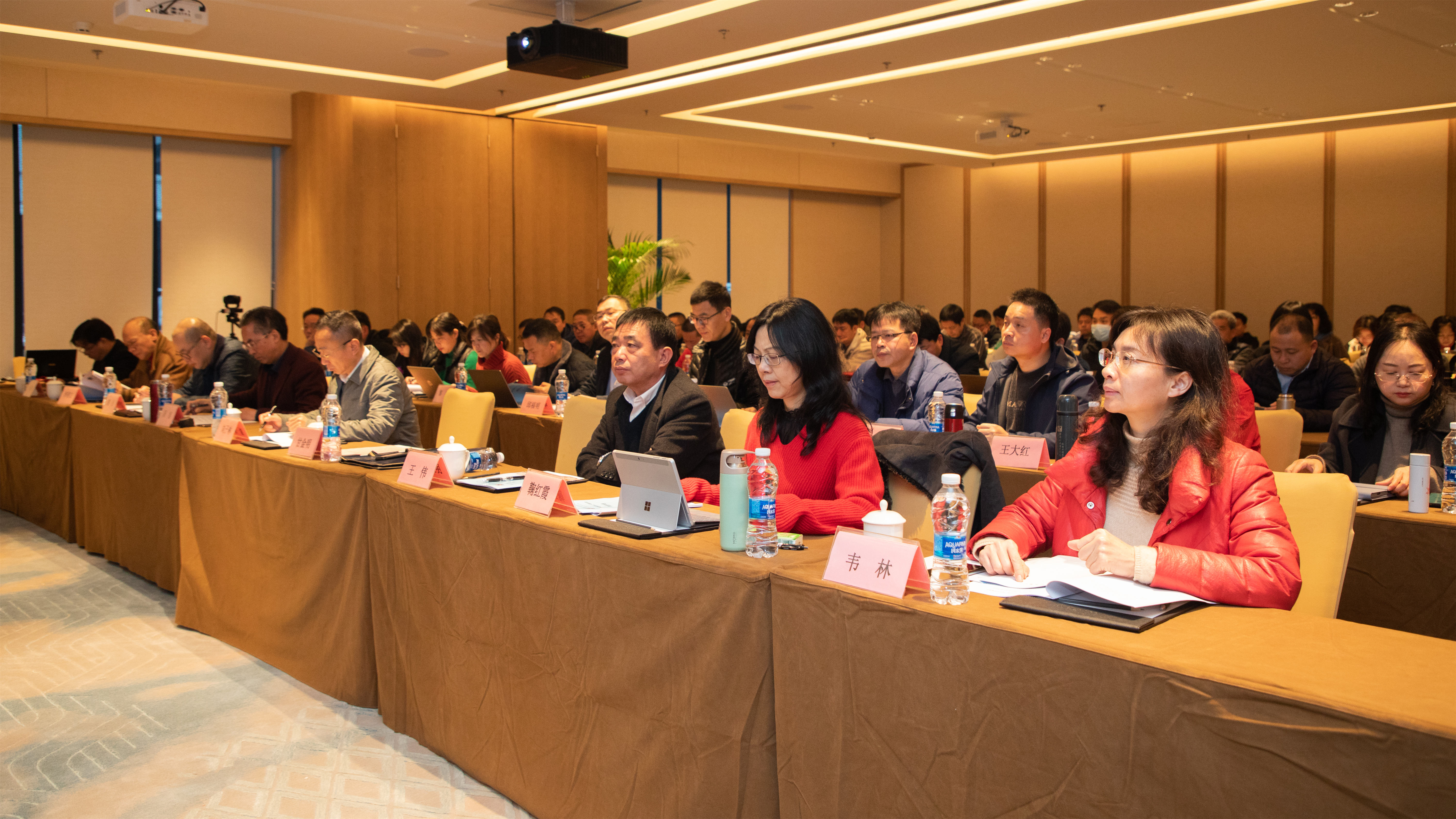 202203031025074700.jpg 202203031025074700.jpg