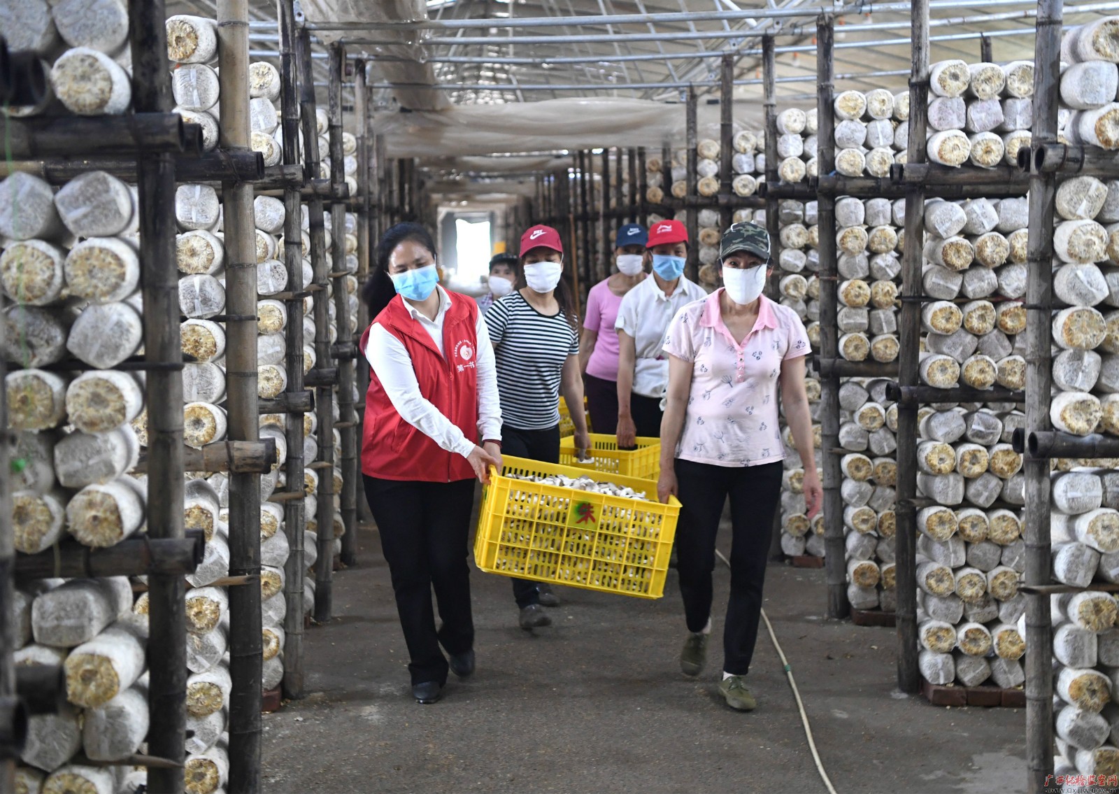 ��ƶ����ս���ϵ����õ�塪����������ƶ�����Ƚ����ˡ���ƽ�����ż����ϲ����һ�������