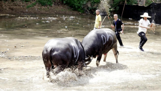 67746fc1511447eda40e79d6bf37f90a