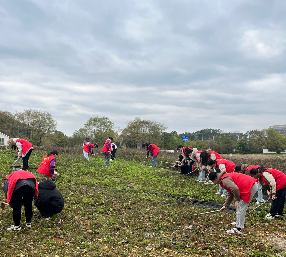 8c4b2dc3a027bb6443e9ee9a12d256b7