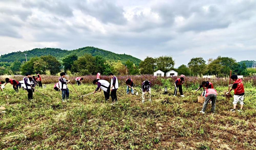 350b7d00bb71e87c2e61511079e2a8a3