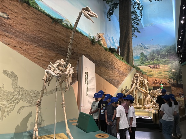 ��ѧѧ�����а����������