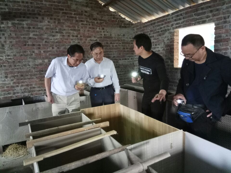 201804171455089883.jpg 201804171455089883.jpg