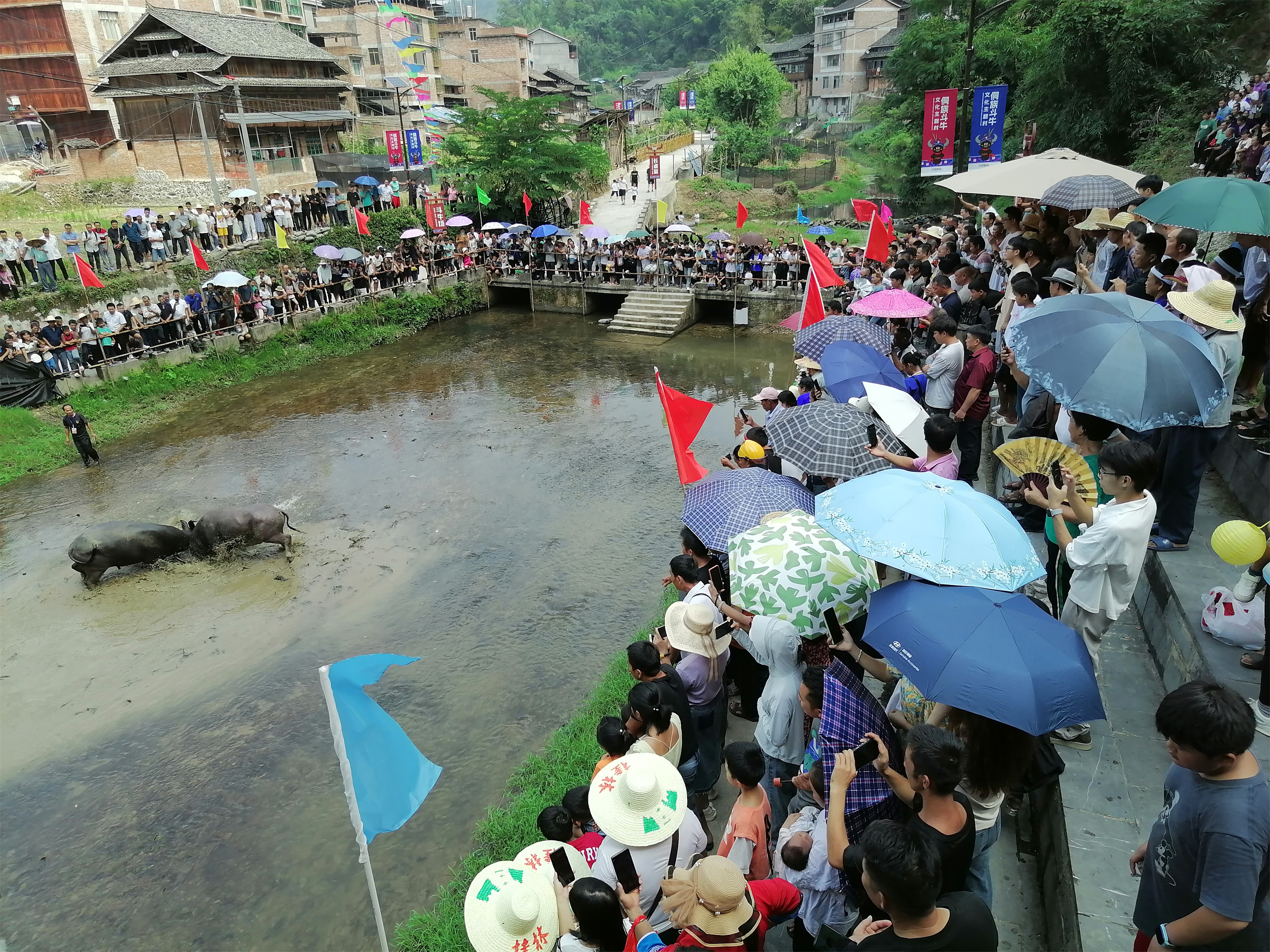 202310070841044156.jpg 202310070841044156.jpg