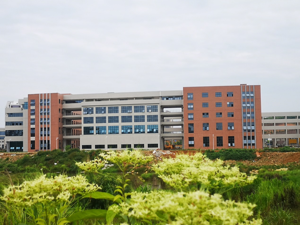 201907011602208437.Jpeg 201907011602208437.Jpeg