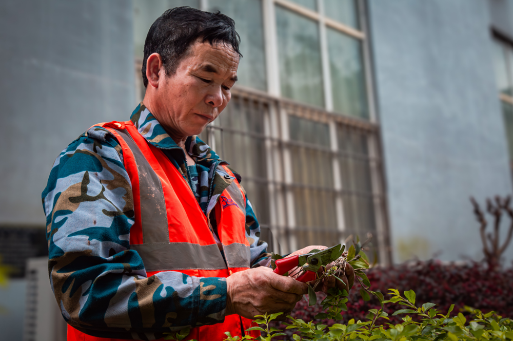 9d5b0777e063405d8d93c5184213ecb2