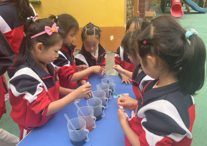 7a2a4e8f161140e9a125a5a5f2a62f80